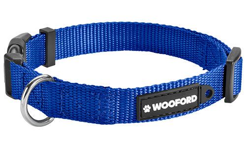 Robustes Hundehalsband aus Nylon