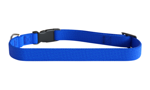 Blaues besticktes Hundehalsband, 30-46 cm lang, leichtes Nylon, personalisierbar mit Hundename und Details.
