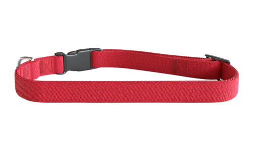 Rotes besticktes Hundehalsband, 30-46 cm lang, leichtes Nylon, personalisierbar mit Hundename und Details.
