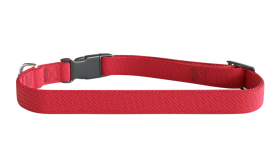 Besticktes Hundehalsband Rotes besticktes Hundehalsband, 30-46 cm lang, leichtes Nylon, personalisierbar mit Hundename und Details.