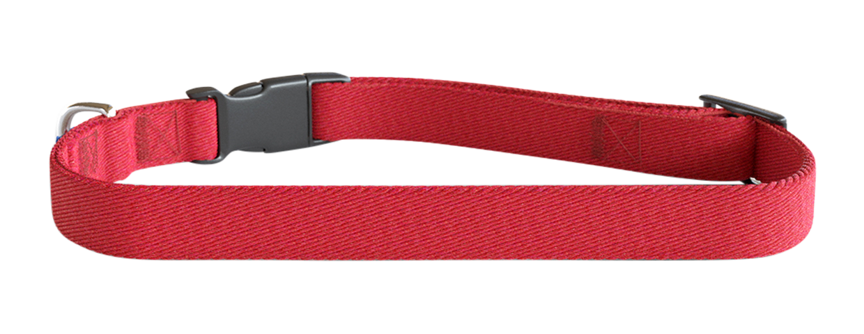 Besticktes Hundehalsband Rotes besticktes Hundehalsband, 30-46 cm lang, leichtes Nylon, personalisierbar mit Hundename und Details.