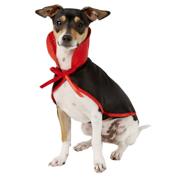 Hund-Vampir-Kostüm in Schwarz und Rot mit hohem Kragen und Fliege, 2-in-1 Set, leicht, langlebig und verstellbar.