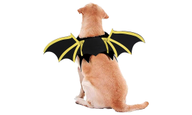 Hund Fledermausflügel Kostüm für Halloween Hund Fledermausflügel Kostüm für Halloween