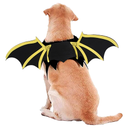 Hund Fledermausflügel...