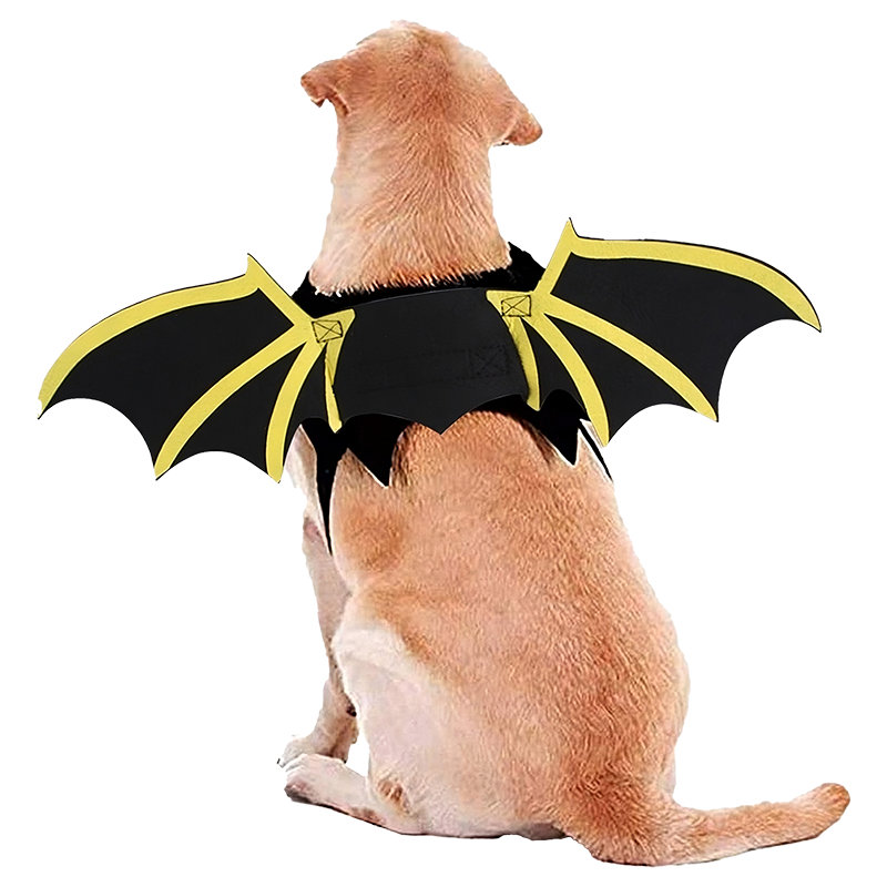 Hund Fledermausflügel Kostüm für Halloween