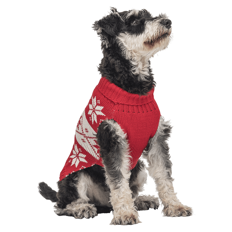 Bedruckter Winterpullover für Hunde Roter Winterpullover für Hunde mit weißem Schneeflockenmuster, waschbar, bietet Wärme und festlichen Stil.