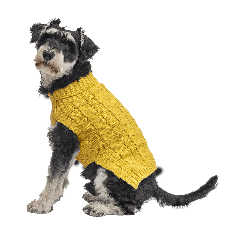 Warmer Baumwollpullover für Hunde Gelber warmer Baumwollpullover für Hunde mit Zopfmuster, extra Schutz, hält Hunde bei kaltem Wetter warm.