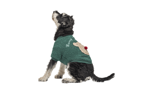 Grüner Weihnachtsmantel für Hunde mit flauschigem Bären-Design auf dem Rücken, waschbar, für Winter und Herbst.
