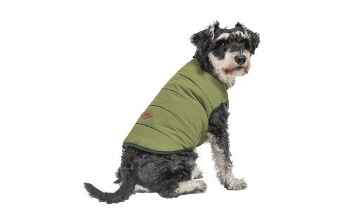 Grüne winddichte Hundewinterweste, bequeme Passform, entwickelt für Wärme und Schutz bei kaltem Wetter.