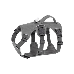 Grau wasserdichtes Hundegeschirr mit verstellbaren Riemen, geeignet für verschiedene Hundetypen, mit robustem silbernen Ring.