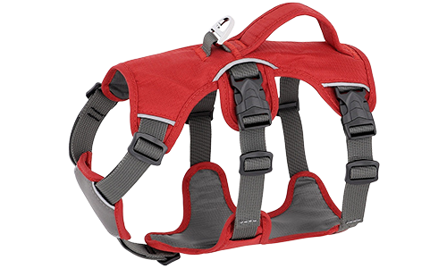 Reflektierendes Wasserdichtes Hundegeschirr Rot wasserdichtes Hundegeschirr mit verstellbaren Riemen, geeignet für verschiedene Hundetypen, mit robustem silbernen Ring.