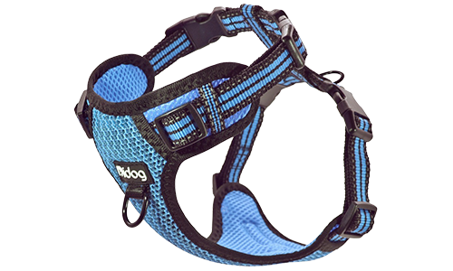 Stilvolles, Atmungsaktives Hundegeschirr aus Nylon Stylisches blaues atmungsaktives Nylon-Hundegeschirr, verstellbar, perfekte Passform mit Schnellverschlüssen.