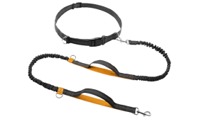 Orange hands-free Hundeleine zum Laufen, 70 - 120 cm, 2,5 cm breit, verstellbarer Gürtel, gepolsterte Griffe.