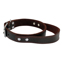 Braunes Hundehalsband aus echtem Leder mit Schnellzuggriff, langlebig und stark, mit verstellbarer Metallschnalle.