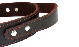 Braunes Hundehalsband aus echtem Leder mit Schnellzuggriff, langlebig und stark, hochwertiges Material, stilvolles Design.