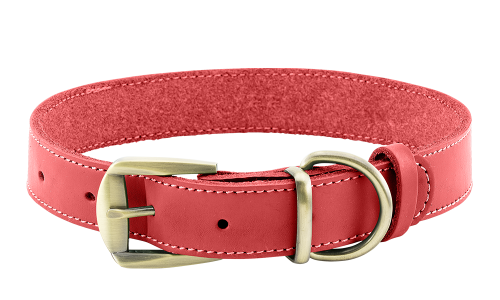 Luxuriöses Hundehalsband aus echtem Leder in Rot, langlebig und stark, hochwertiges Leder, mit Schnalle.