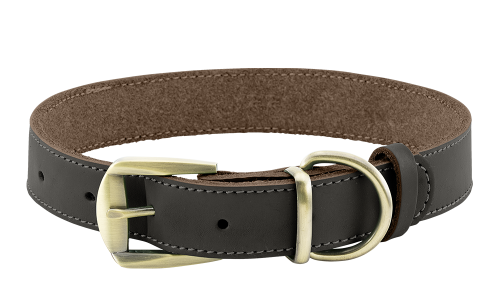 Luxuriöses Hundehalsband aus Echtem Leder
