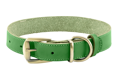 Luxuriöses Hundehalsband aus echtem Leder in Grün, langlebig und stark, hochwertiges Leder, mit Schnalle.