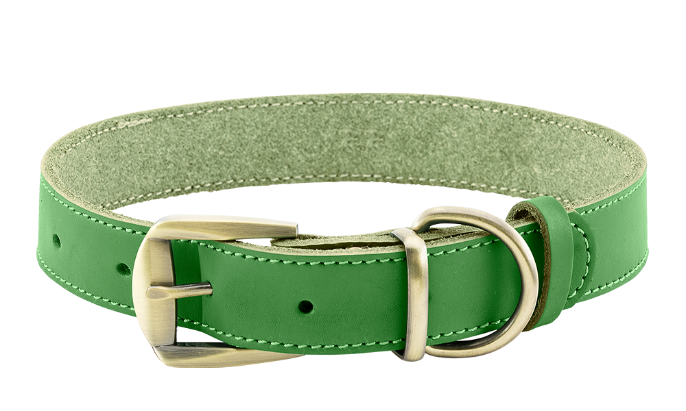 Luxuriöses Hundehalsband aus Echtem Leder Luxuriöses Hundehalsband aus echtem Leder in Grün, langlebig und stark, hochwertiges Leder, mit Schnalle.