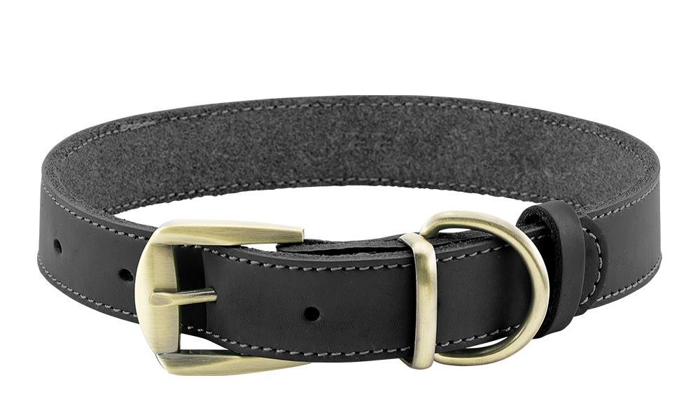 Luxuriöses Hundehalsband aus Echtem Leder Luxuriöses Hundehalsband aus echtem Leder in Schwarz, langlebig und stark, hochwertiges Leder, mit Schnalle.