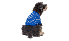 Hund trägt einen gemütlichen blauen Pullover mit weißen Herzmustern, perfekt für Abenteuer unterwegs.