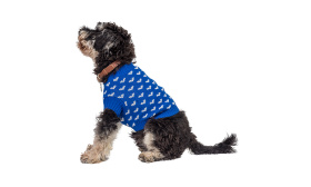 Hund trägt einen gemütlichen blauen Pullover mit weißen Herzmustern, perfekt für Wärme und Stil in kälteren Jahreszeiten.