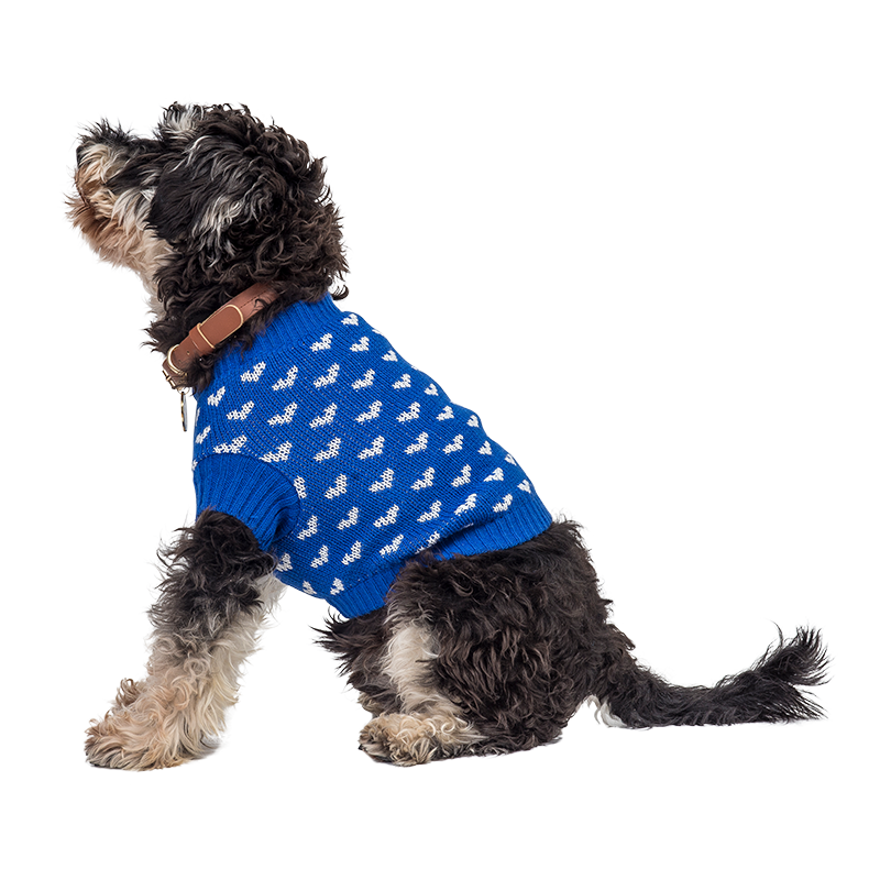 Bedruckter Herz-Pullover für Hunde und Katzen Hund trägt einen gemütlichen blauen Pullover mit weißen Herzmustern, perfekt für Wärme und Stil in kälteren Jahreszeiten.