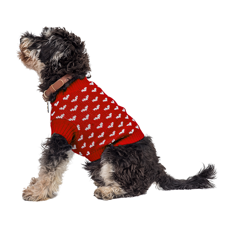 Bedruckter Herz-Pullover für Hunde und Katzen Hund trägt einen gemütlichen roten Pullover mit weißen Herzmustern, perfekt für Wärme und Stil in kälteren Jahreszeiten.