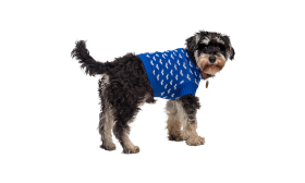 Hund trägt einen gemütlichen blauen Pullover mit weißen Herzmustern, maschinen- und handwaschbar für einfache Pflege.