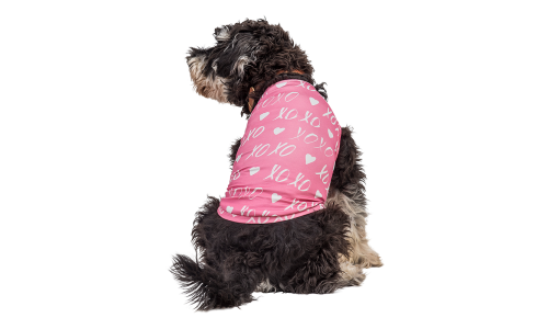 Hund trägt ein pinkfarbenes Valentinstag-Geschirr mit weißem Herz und 'XOXO', festliches Outfit für Welpen.