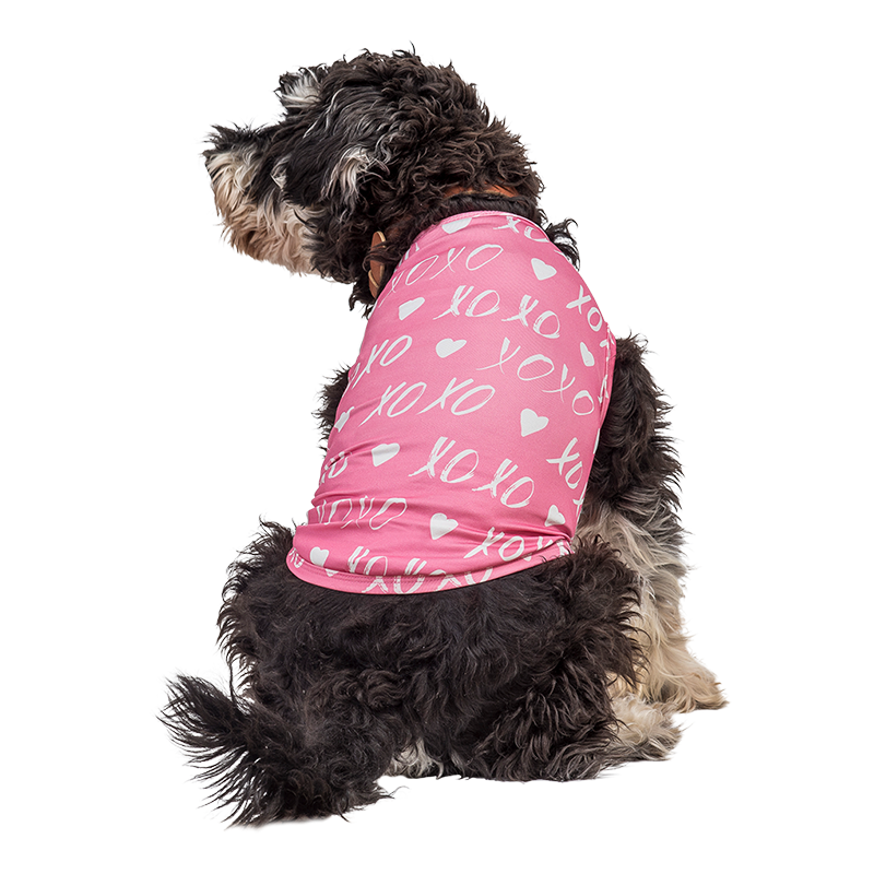 Hundeweste für Valentinstag Pup Outfit Hund trägt ein pinkfarbenes Valentinstag-Geschirr mit weißem Herz und 'XOXO', festliches Outfit für Welpen.