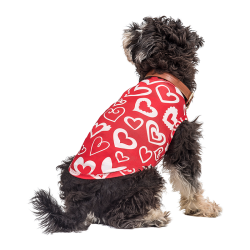 Hund trägt ein rotes Valentinstag-Geschirr mit rotem und weißem Herz, als festliches und stilvolles Outfit für Welpen.