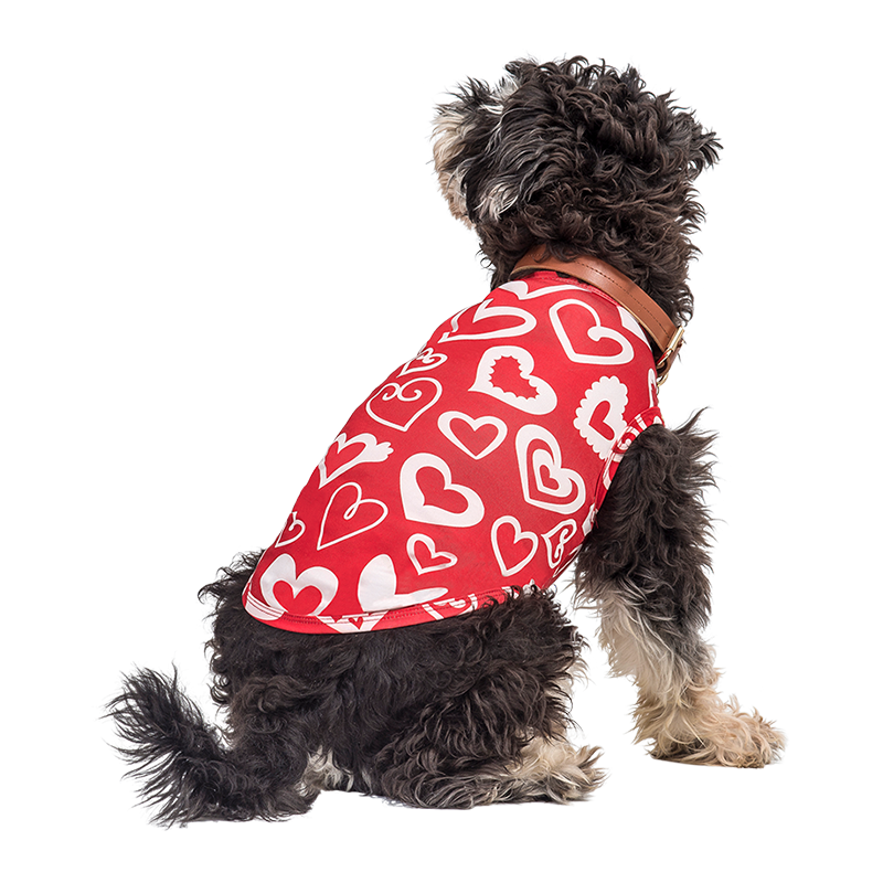 Hundeweste für Valentinstag Pup Outfit Hund trägt ein rotes Valentinstag-Geschirr mit rotem und weißem Herz, als festliches und stilvolles Outfit für Welpen.