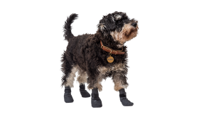 Sport Hundeschuh Socken Set aus vier Hundeschuhsocken in Grau mit rutschfesten Sohlen, leicht, mit rutschfestem Gummi.