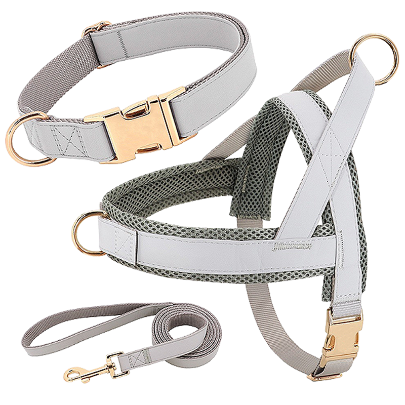 Hundegeschirr-Set mit Halsband und Leine Silbernes Hundegeschirr-Set mit passendem Halsband und Leine, leicht, langlebig und robust, bequeme und sichere Passform.