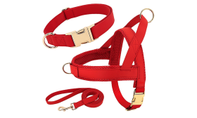 Rotes Hundegeschirr-Set mit passendem Halsband und Leine, leicht, langlebig und robust, bequeme und sichere Passform.