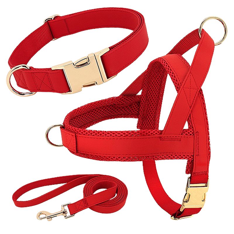 Hundegeschirr-Set mit Halsband und Leine Rotes Hundegeschirr-Set mit passendem Halsband und Leine, leicht, langlebig und robust, bequeme und sichere Passform.