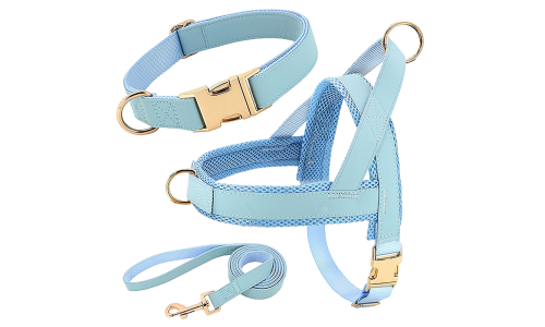 Helles blaues Hundegeschirr-Set mit passendem Halsband und Leine, leicht, langlebig, bequeme und sichere Passform.