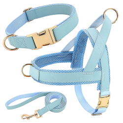 Helles blaues Hundegeschirr-Set mit passendem Halsband und Leine, leicht, langlebig, bequeme und sichere Passform.
