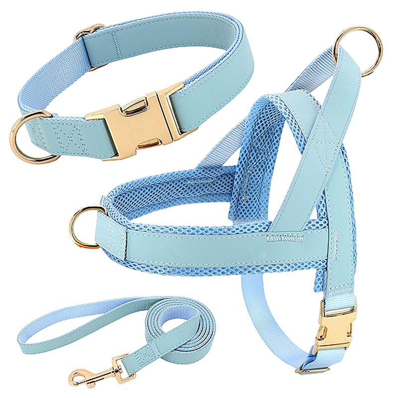 Hundegeschirr-Set mit Halsband und Leine Helles blaues Hundegeschirr-Set mit passendem Halsband und Leine, leicht, langlebig, bequeme und sichere Passform.
