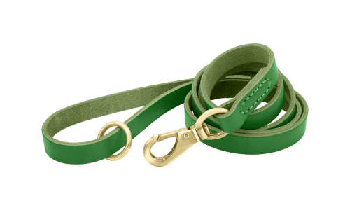 Grüne Luxus-Hundeleine aus echtem Leder, 150 cm lang, komfortabel, mit goldenem Metallverschluss und Ring für Langlebigkeit.