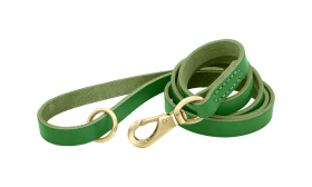 Grüne Luxus-Hundeleine aus echtem Leder, 150 cm lang, komfortabel, mit goldenem Metallverschluss und Ring für Langlebigkeit.