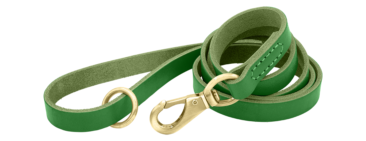 Luxus-Hundeleine aus Echtem Leder Grüne Luxus-Hundeleine aus echtem Leder, 150 cm lang, komfortabel, mit goldenem Metallverschluss und Ring für Langlebigkeit.