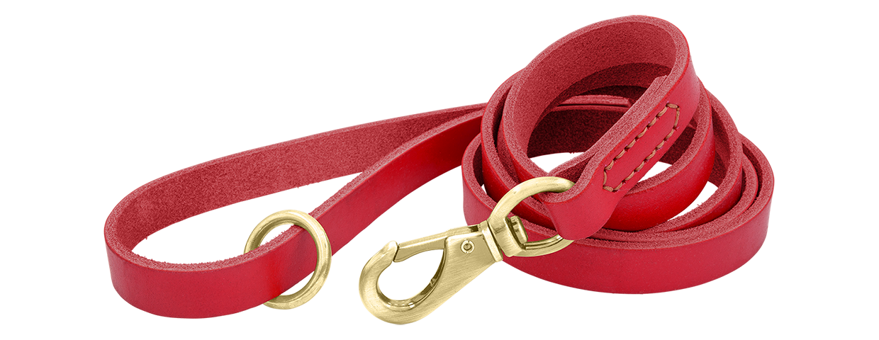 Luxus-Hundeleine aus Echtem Leder Rote Luxus-Hundeleine aus echtem Leder, 150 cm lang, komfortabel, mit goldenem Metallverschluss und Ring für Langlebigkeit.