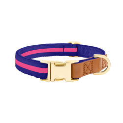 Blaues Hundehalsband mit verstellbarem goldenen Metallverschluss, 27-40 cm Länge und 1,5 cm breit, mit D-Ring.