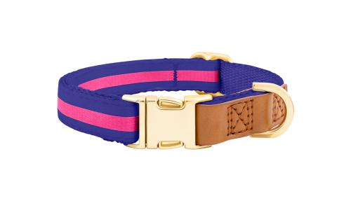 Blaues Hundehalsband mit verstellbarem goldenen Metallverschluss, 33-55 cm Länge und 2 cm breit, mit D-Ring.