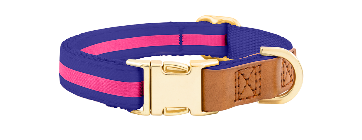 Hundehalsband mit Schnalle Blaues Hundehalsband mit verstellbarem goldenen Metallverschluss, 33-55 cm Länge und 2 cm breit, mit D-Ring.