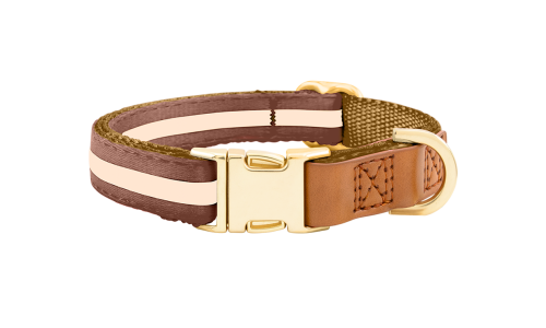 Braunes Hundehalsband mit verstellbarem goldenen Metallverschluss, 27-40 cm Länge und 1,5 cm breit, mit D-Ring.