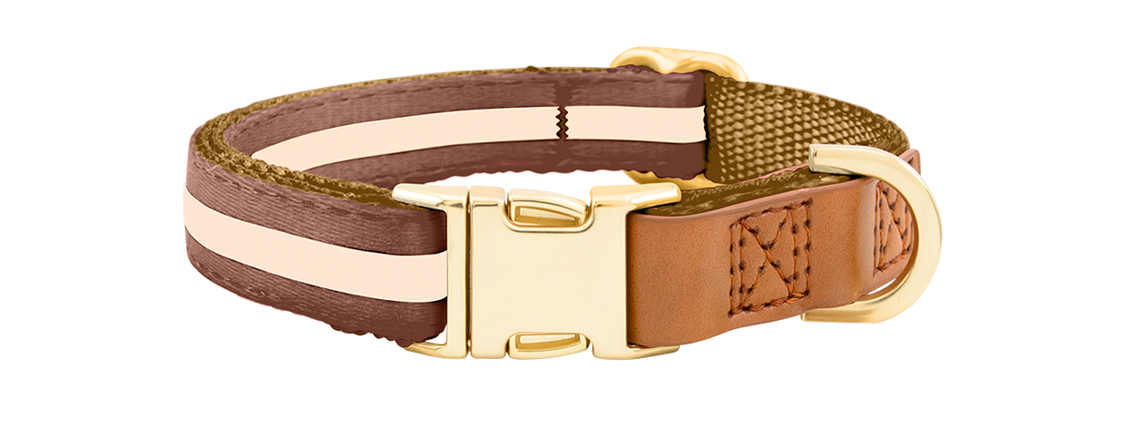 Hundehalsband mit Schnalle Braunes Hundehalsband mit verstellbarem goldenen Metallverschluss, 27-40 cm Länge und 1,5 cm breit, mit D-Ring.