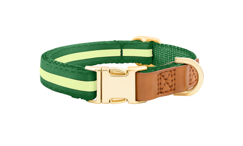 Grünes Hundehalsband mit verstellbarem goldenen Metallverschluss, 27-40 cm Länge und 1,5 cm breit, mit D-Ring.